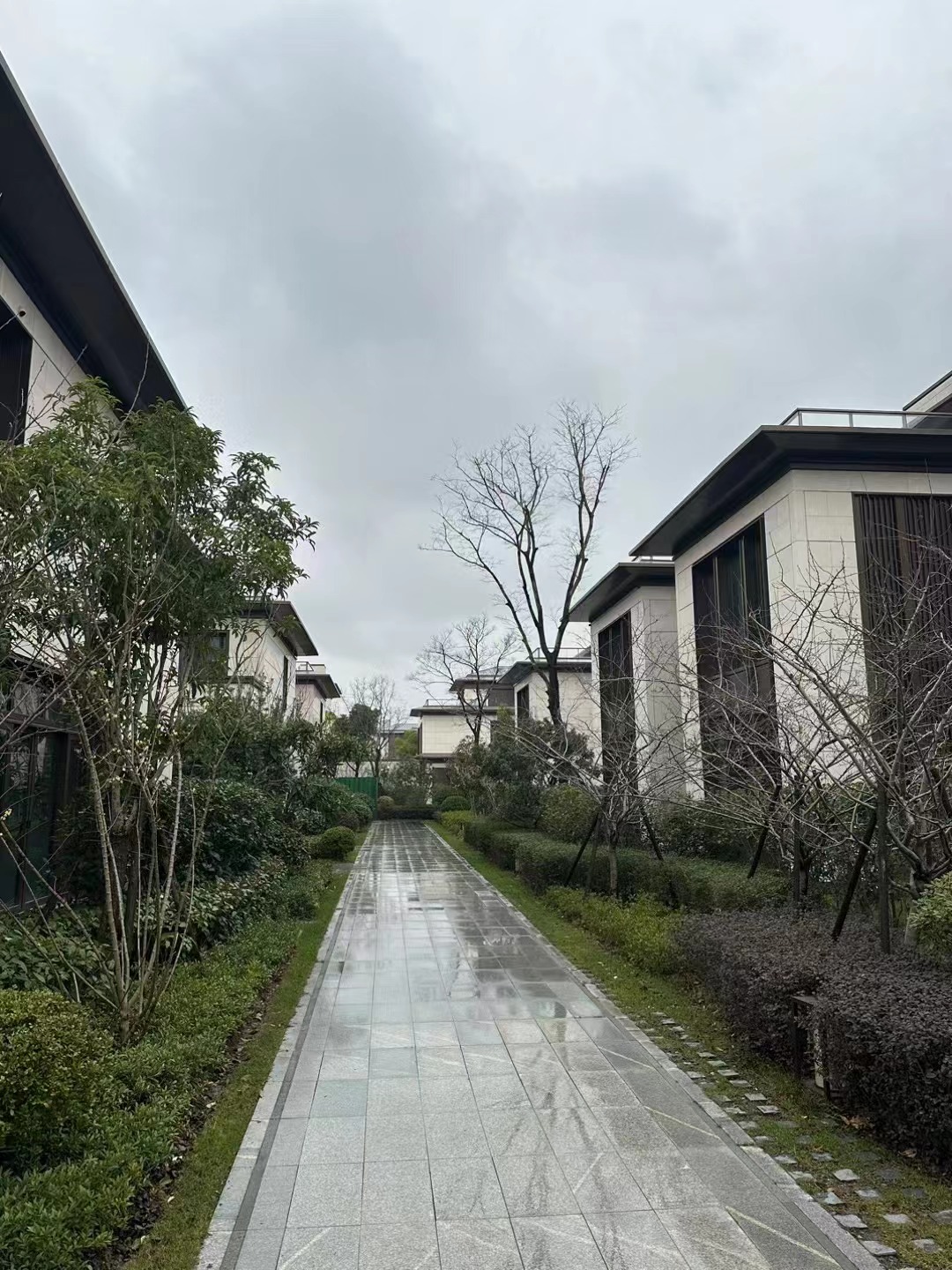 污水提升器 污水提升器